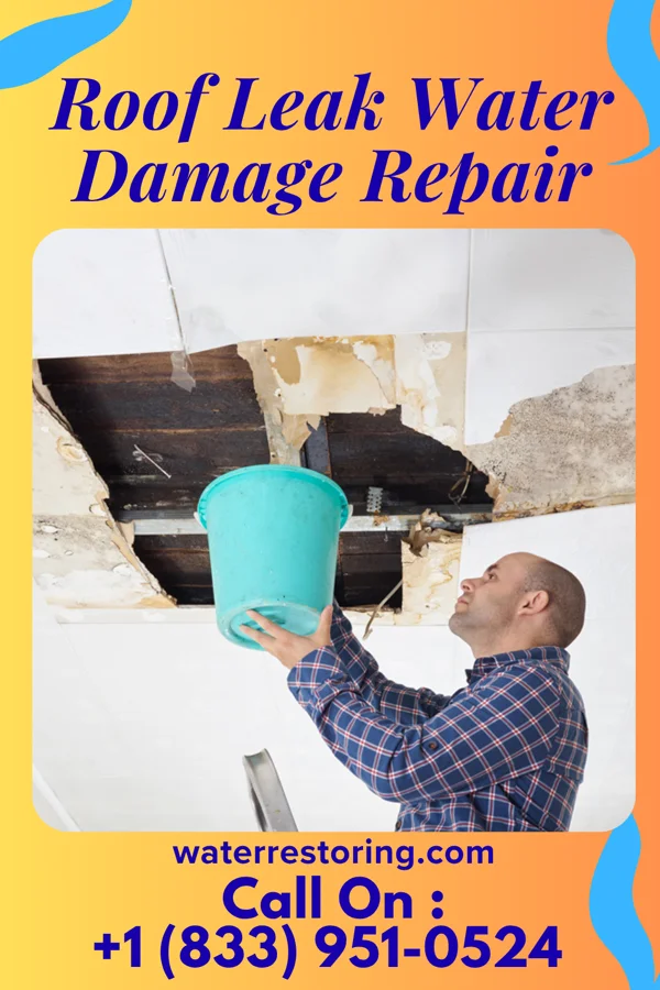 Roof Leak Water Damage Repair in Conway, IA